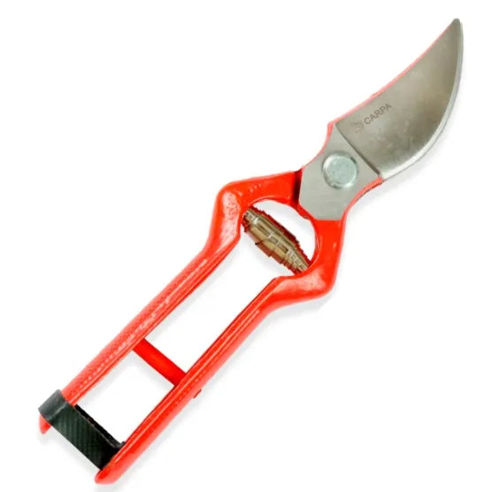 TIJERA PODAR 24 CMS. HOJA PULIDA (01A24L)