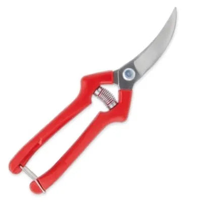 Tijera Podar 19 Cm. Cosecha Ajos M/Plast (03H19)