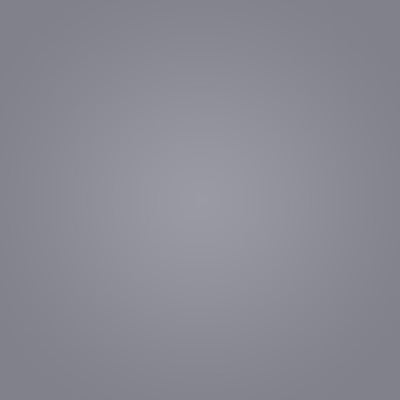 Interruptor (0802317)