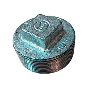 TAPA TORNILLO GALV-  2.1/2      (ISO 5922 - 150 LBS) C